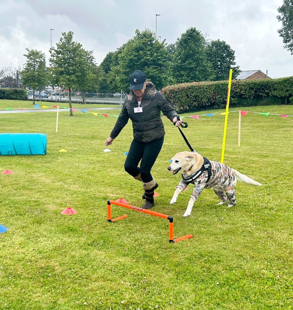 Dog show action shot