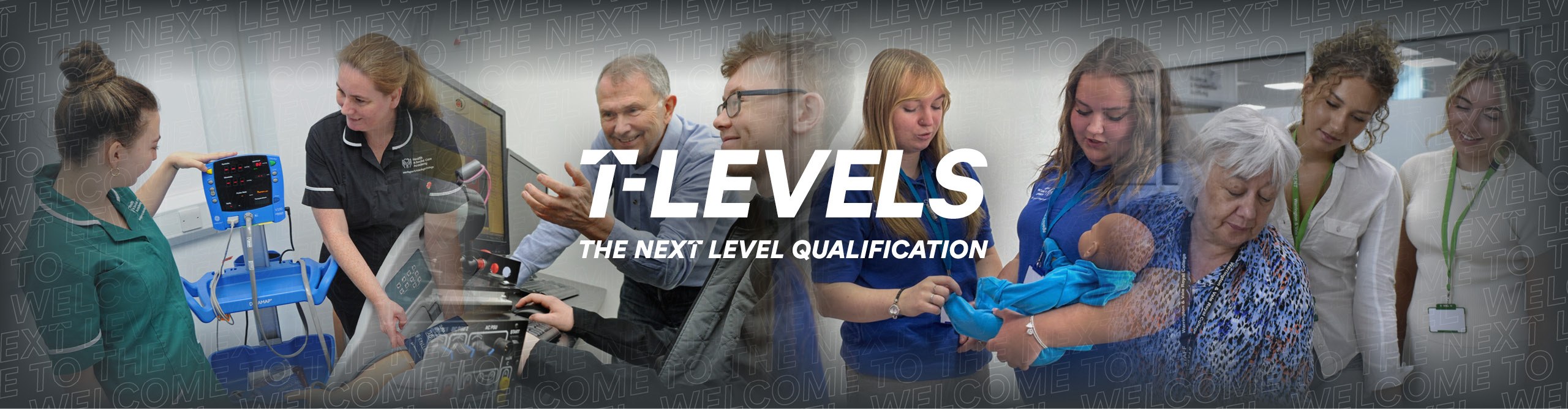 T Level Website Header