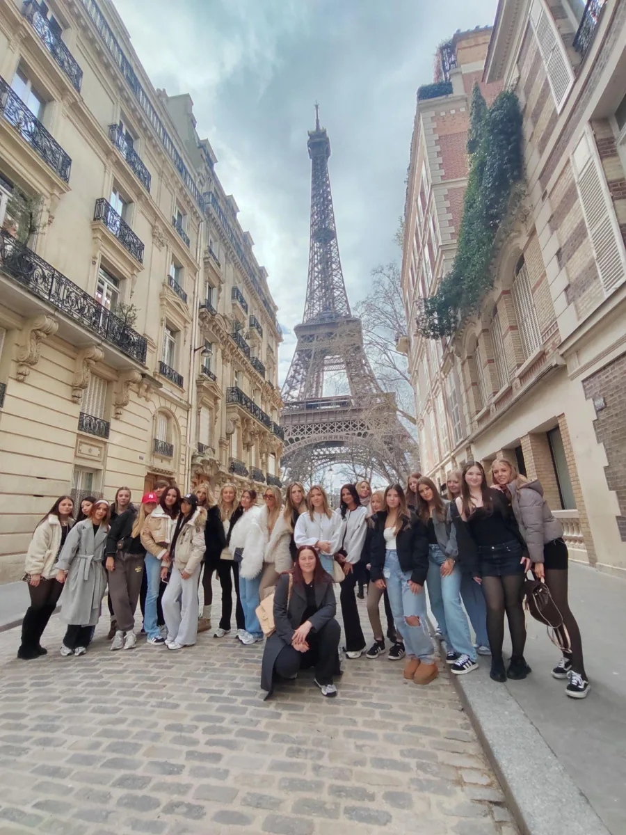 Disneyland Paris website resized