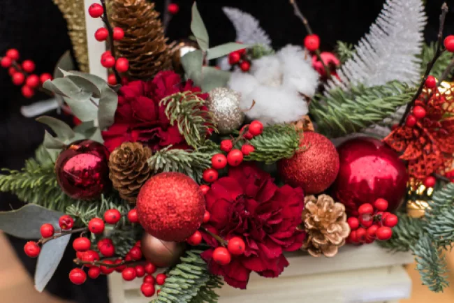 Christmas Flowers