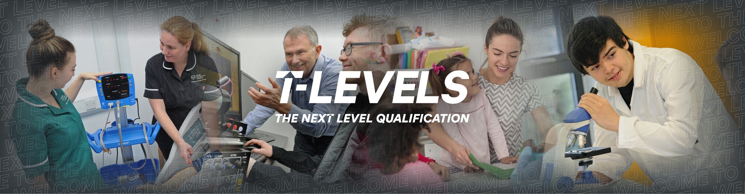"T-Levels The Next Level Qualification" (Webpage Header)
